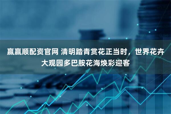 赢赢顺配资官网 清明踏青赏花正当时，世界花卉大观园多巴胺花海焕彩迎客