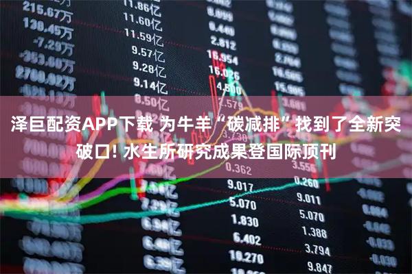 泽巨配资APP下载 为牛羊“碳减排”找到了全新突破口! 水生所研究成果登国际顶刊
