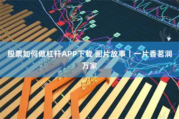 股票如何做杠杆APP下载 图片故事｜一片香茗润万家